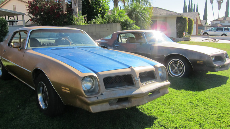 Illustration for article titled This Is The Largest Collection Of Rockford Files Cars In The Universe